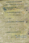 Порядина Ксения Васильевна